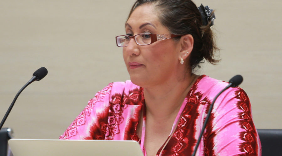 Liliana Suárez COPAME